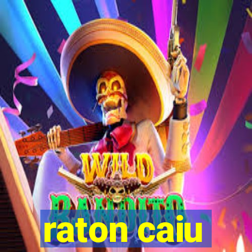 raton caiu